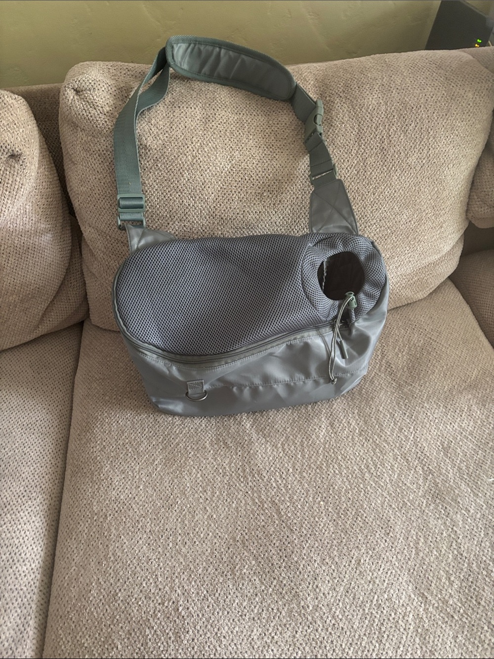 Small animal carrier.  Grey in color